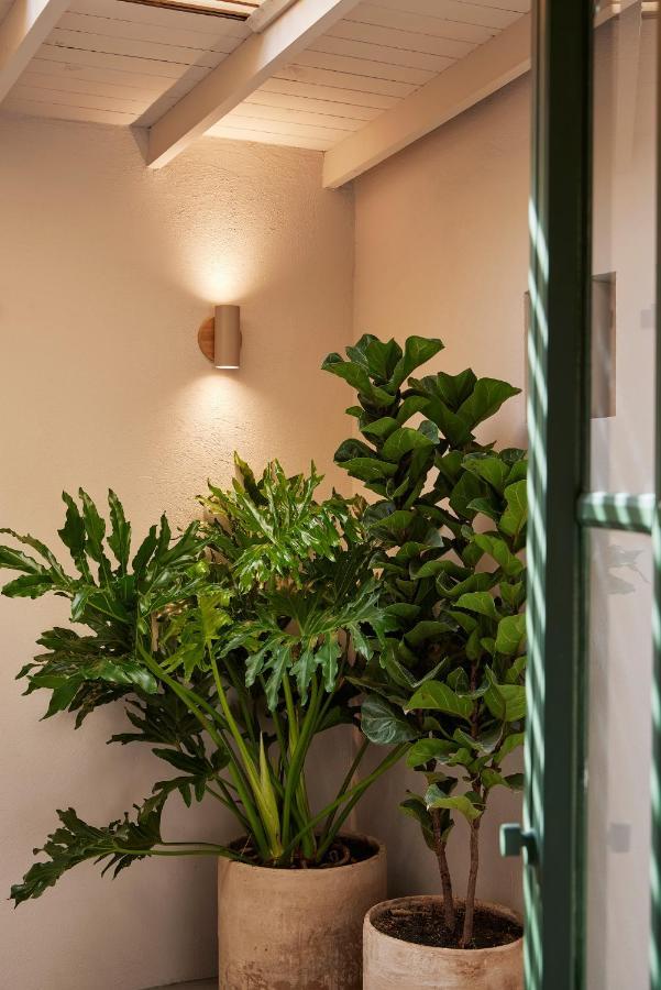 Antipoda Hotel Boutique Медельїн Екстер'єр фото